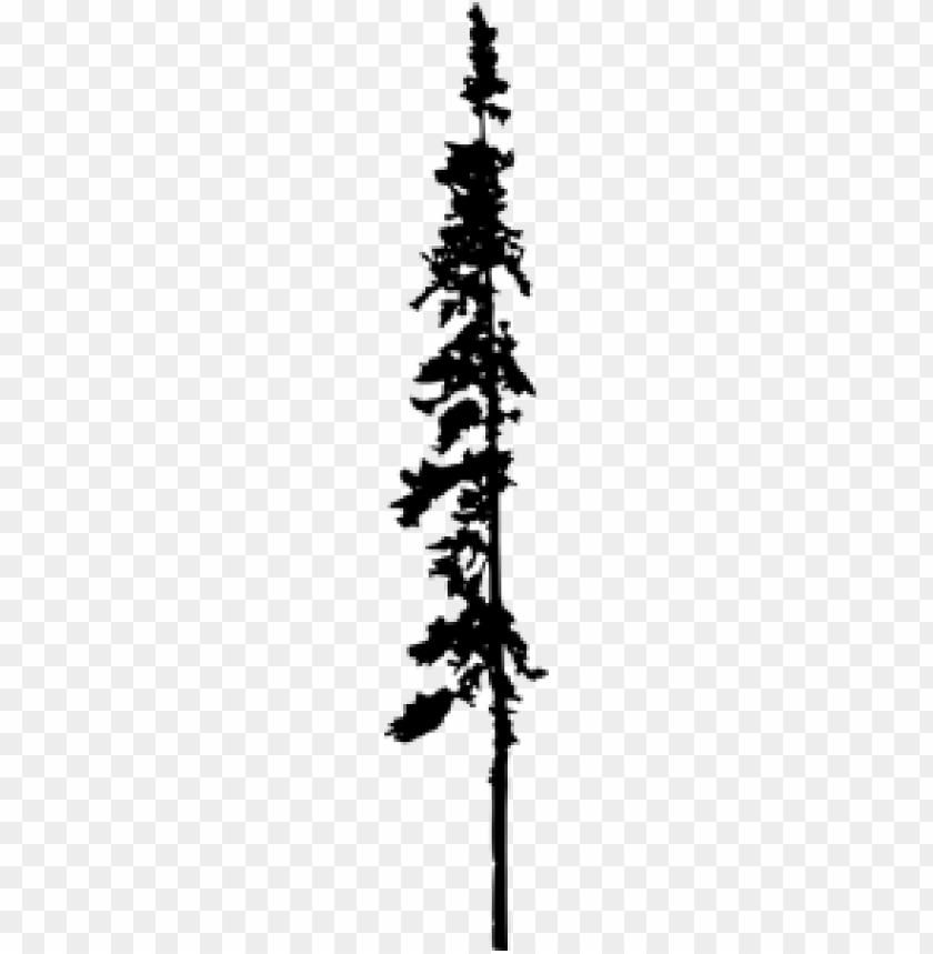 Transparent pine tree silhouette PNG Image - ID 3900