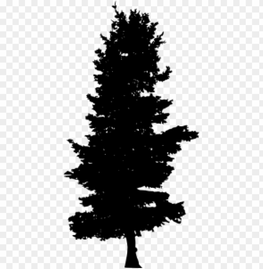 Transparent Pine Tree Silhouette PNG Image - ID 3910 | TOPpng