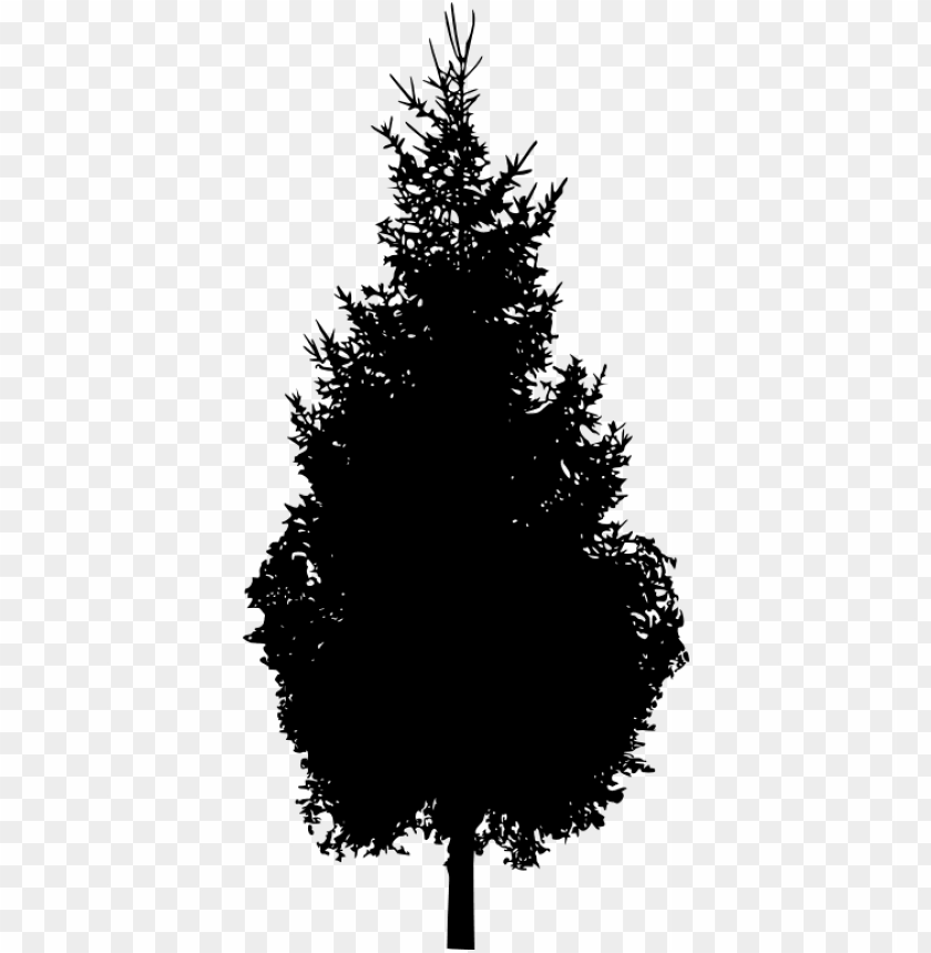 pine tree branch, pine tree silhouette, pine tree, pine tree clip art, christmas tree vector, tree icon