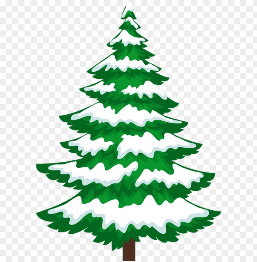 Pine Tree With Snow Transparent PNG Images