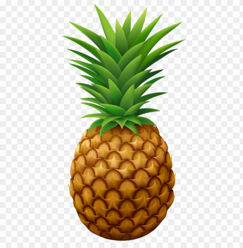 pineapple 1