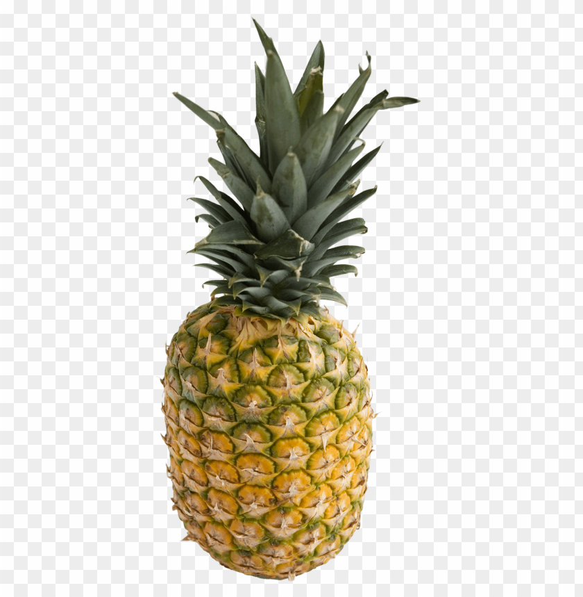 fruits, pineapple, ananas