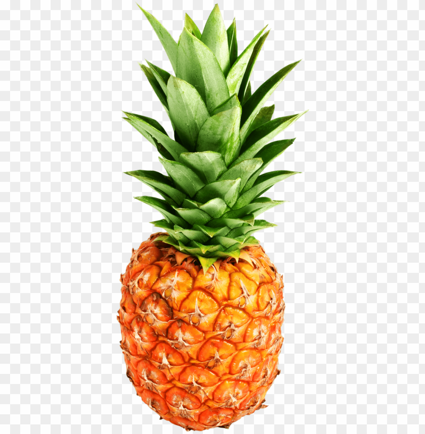 pineapple PNG images with transparent backgrounds - Image ID 11074