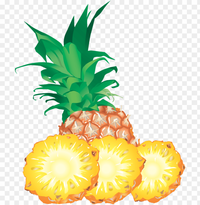 
pineapple
, 
ananas comosus
, 
coalesced berries
, 
pineapples
, 
clipart
