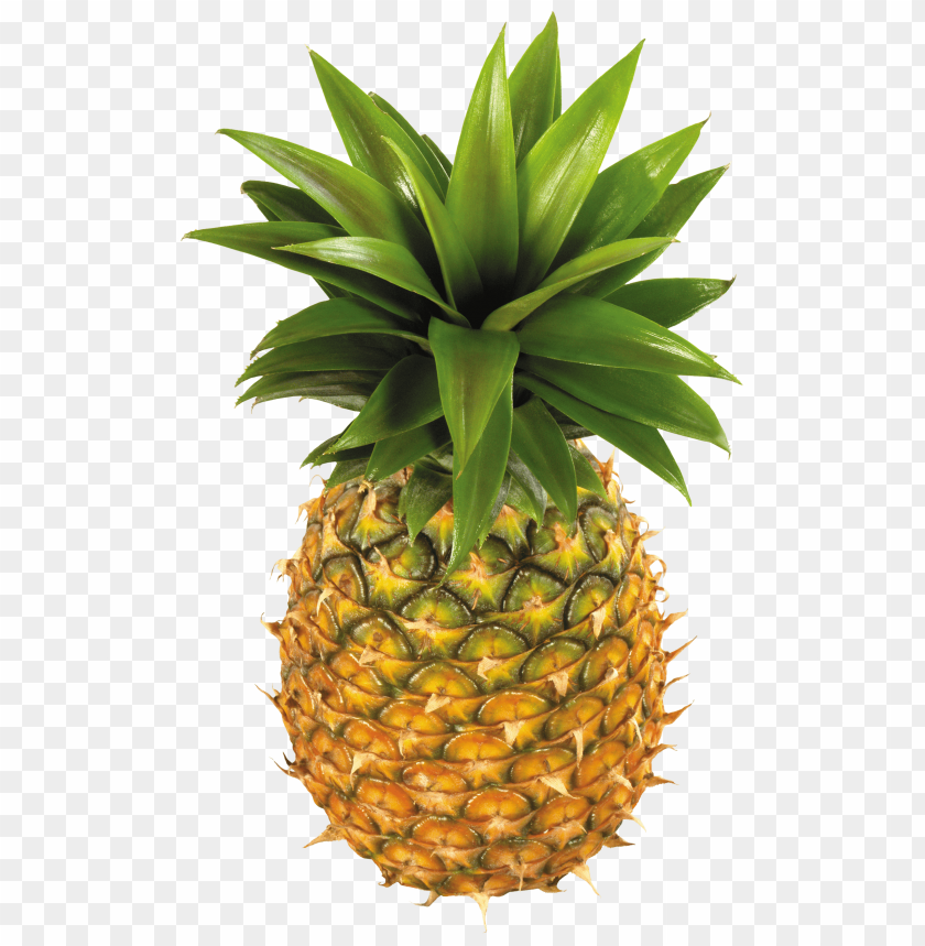 pineapple fruit clipart png photo - 33514