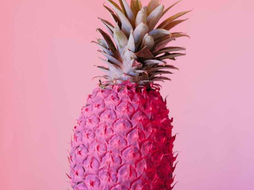 pineapple, fruit, pink, paint, tropical