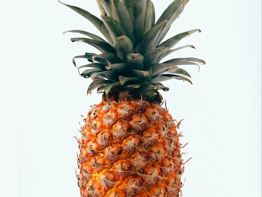 pineapple, fruit, tropical, minimalism