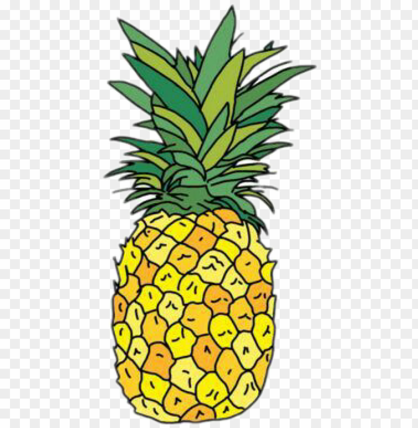 pineapple, pineapple clipart, for picsart, effects for picsart, tumblr stickers, sticker