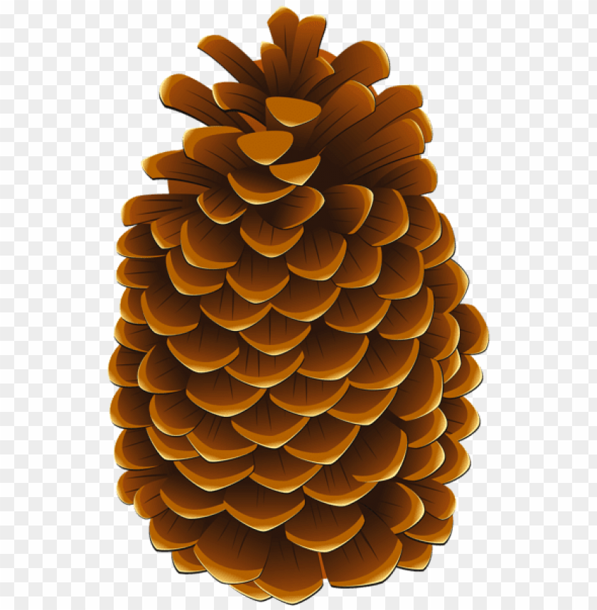 pinecone clipart png photo - 55952
