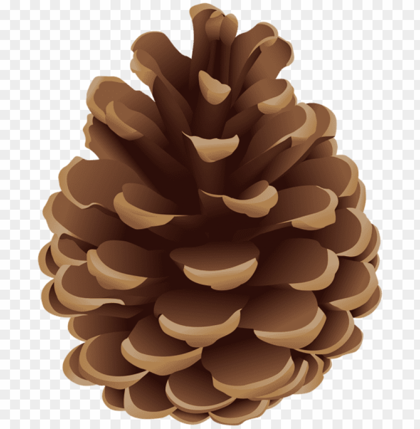pinecone png clipart png photo - 55953