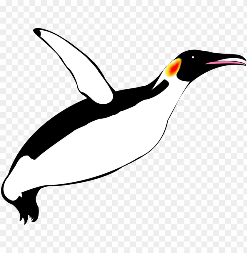 phoenix bird, twitter bird logo, big bird, penguin, bird wings, flappy bird pipe