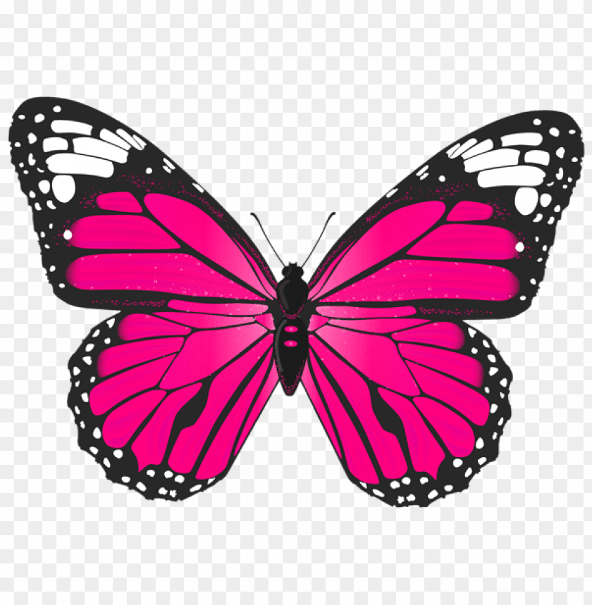 pink butterfly clipart png photo - 48457