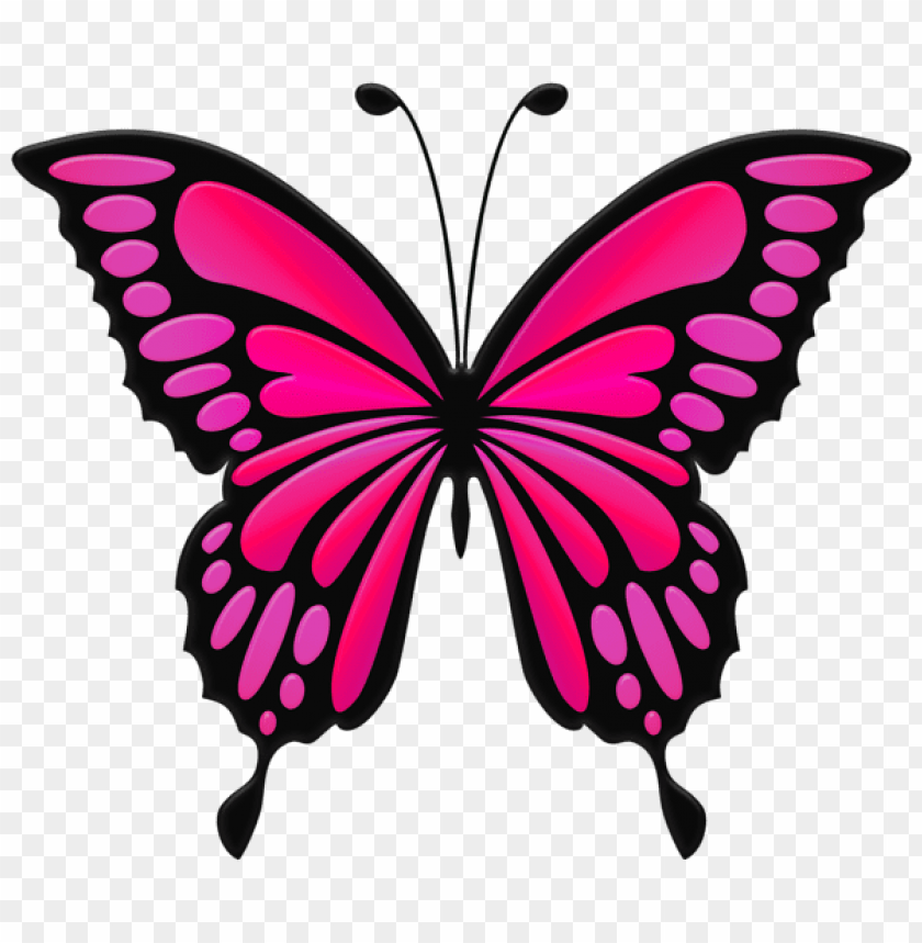 Download pink butterfly clipart png photo | TOPpng