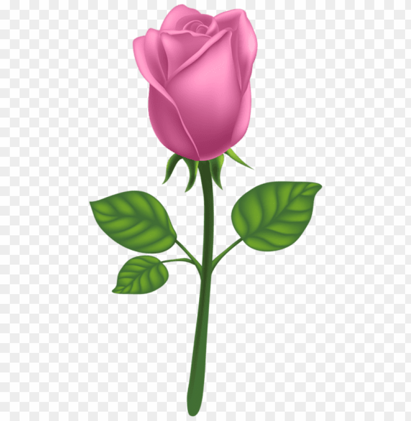 pink deco rose