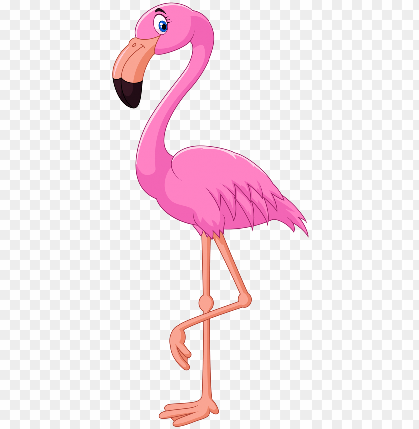 flamingo, pink