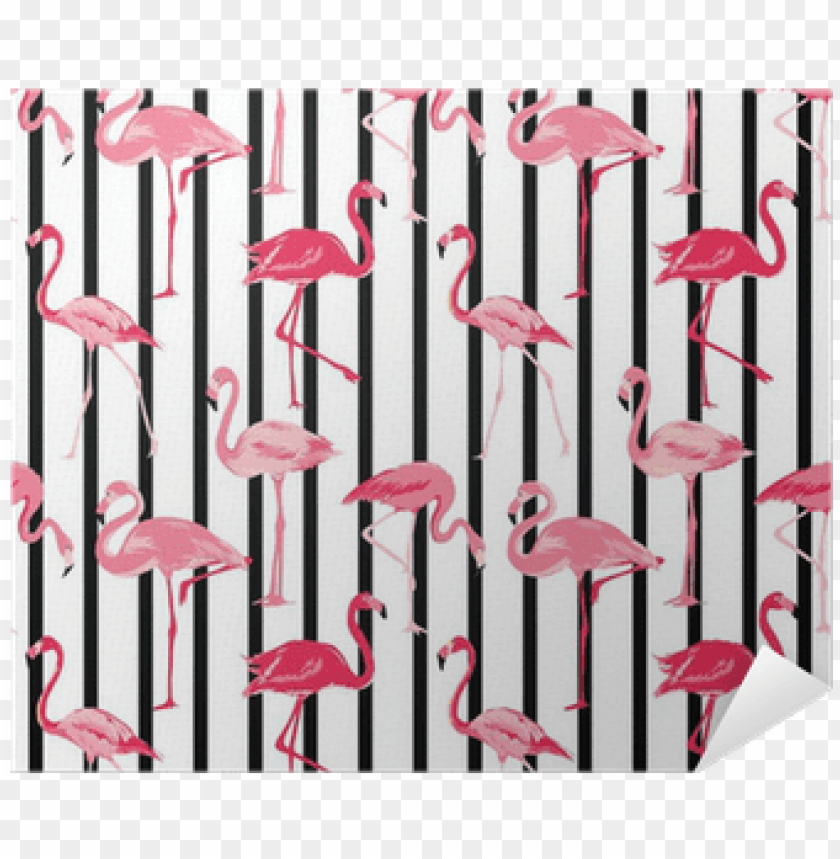 flamingo, phoenix bird, twitter bird logo, big bird, bird wings, flappy bird pipe