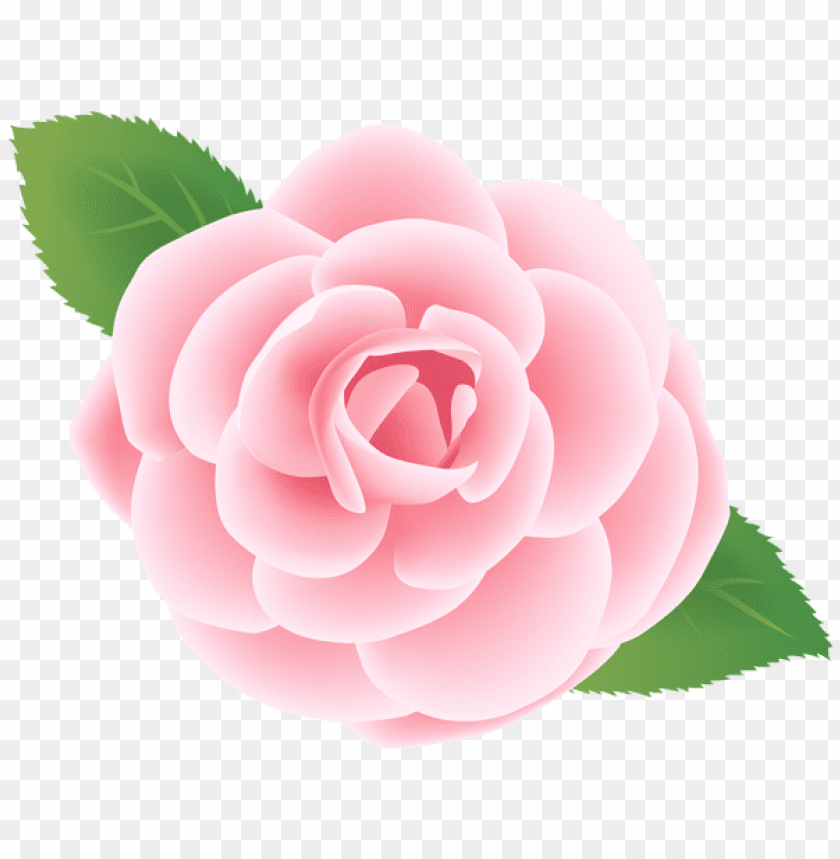 pink flower deco