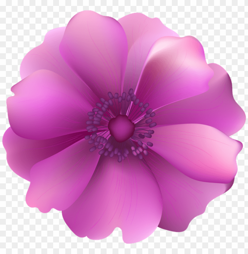 PNG image of pink flower decorative transparent with a clear background - Image ID 45452
