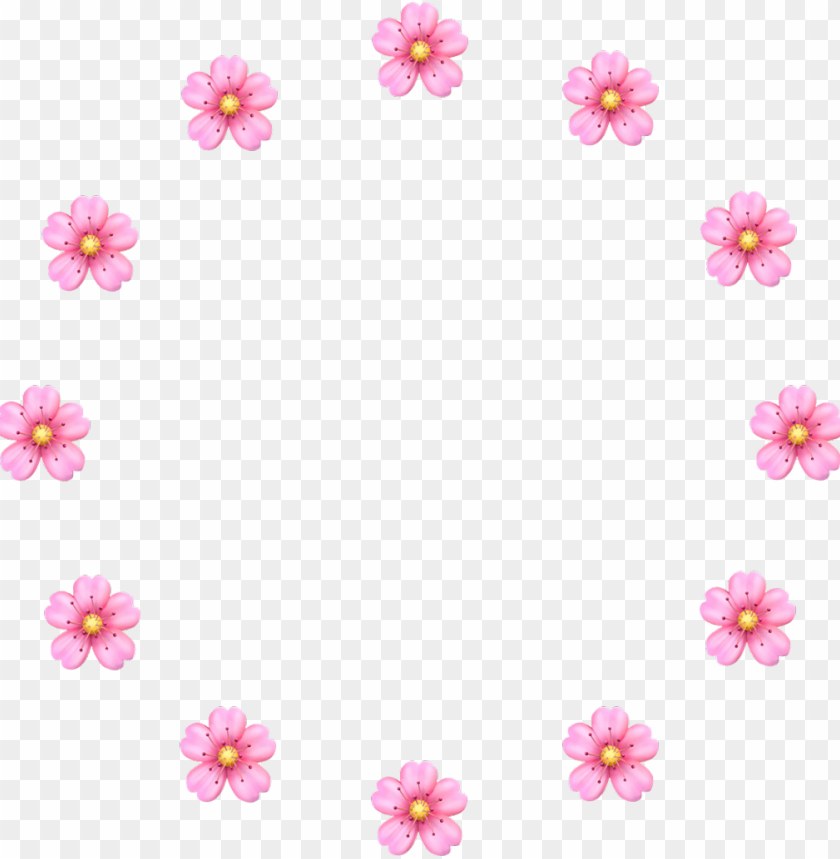 Pink Flower Background Png Hd - canvas-brah