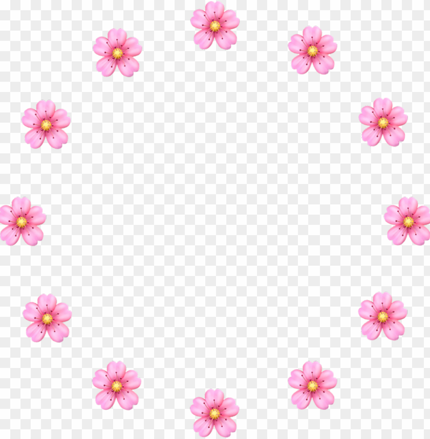 Pink Flower Flowers Transparent Png Image With Transparent Background Toppng