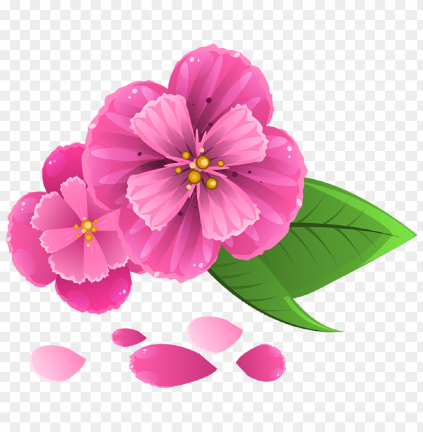pink flower with petals