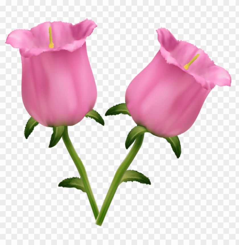 pink flowers bells