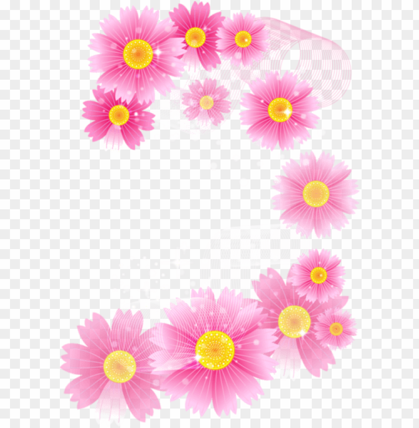 pink flowers full transparent