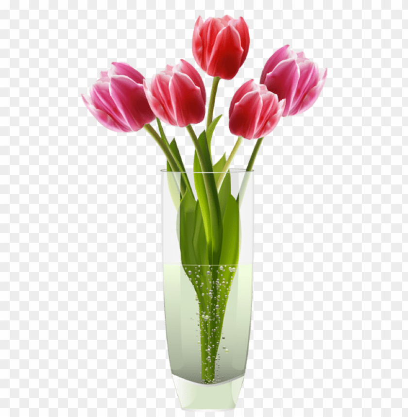 pink red tulips vase