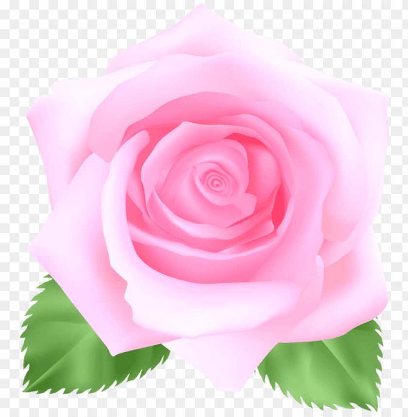 PNG image of pink rose with a clear background - Image ID 44821