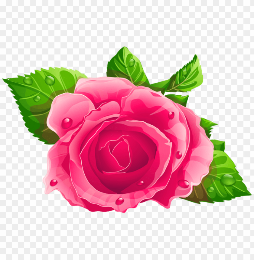 PNG image of pink rose with a clear background - Image ID 45171
