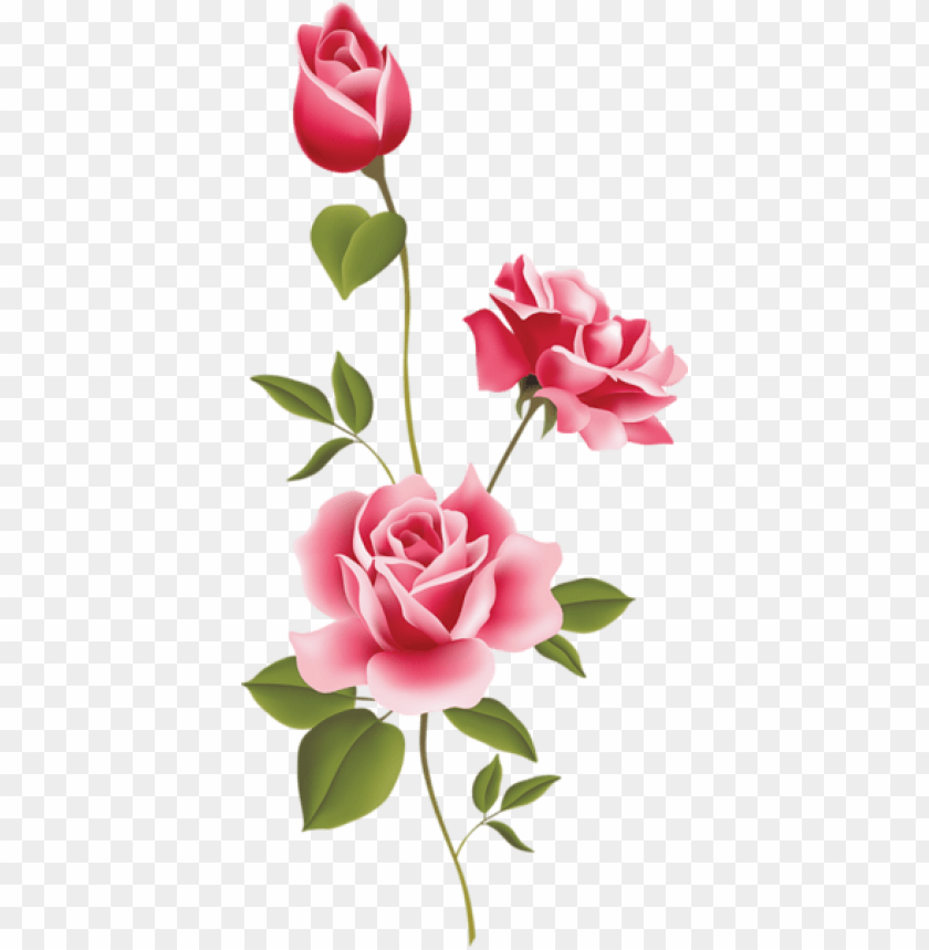 pink rose art