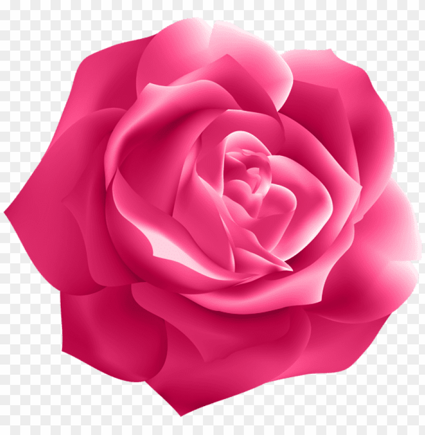 pink rose deco