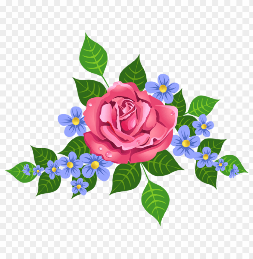 pink rose decorative element