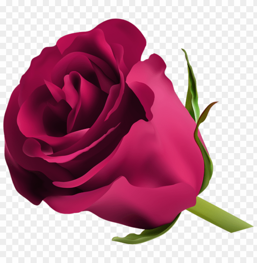 Download pink rose png png images background@toppng.com
