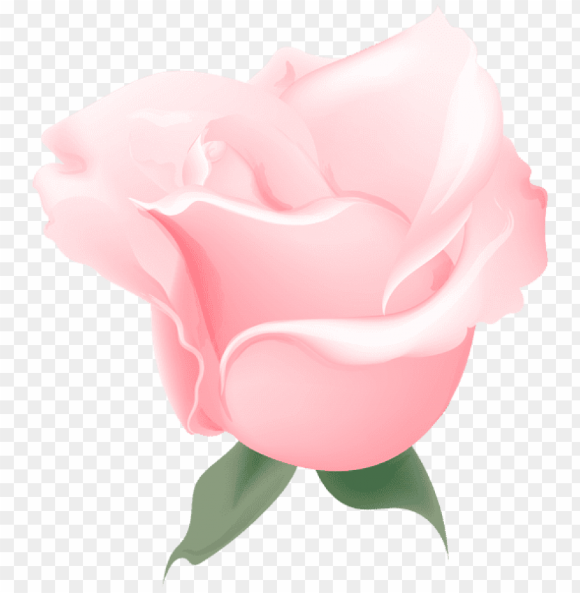 pink rose soft deco