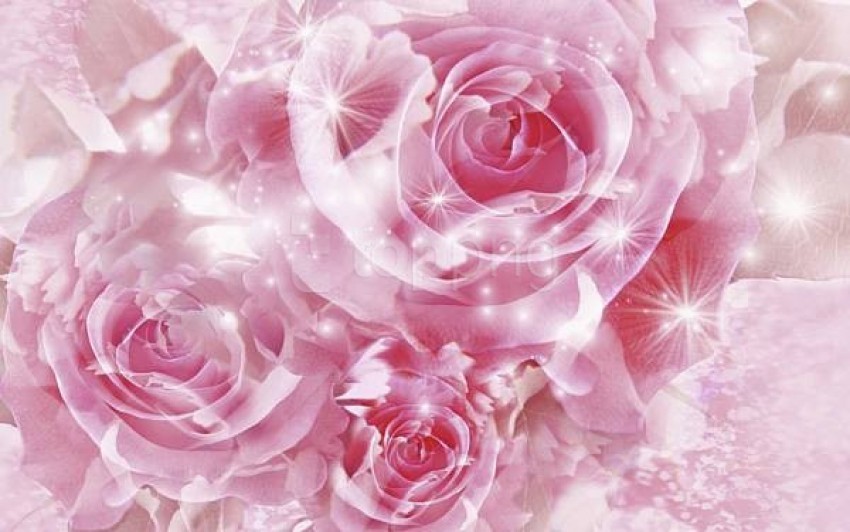 Light Pink Wallpaper Photos, Download The BEST Free Light Pink Wallpaper  Stock Photos & HD Images