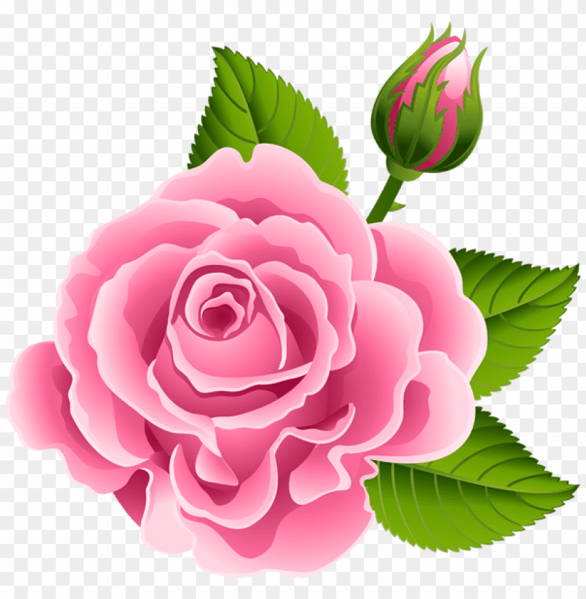 PNG Image Of Pink Rose With Rose Bud With A Clear Background - Image ID 44764