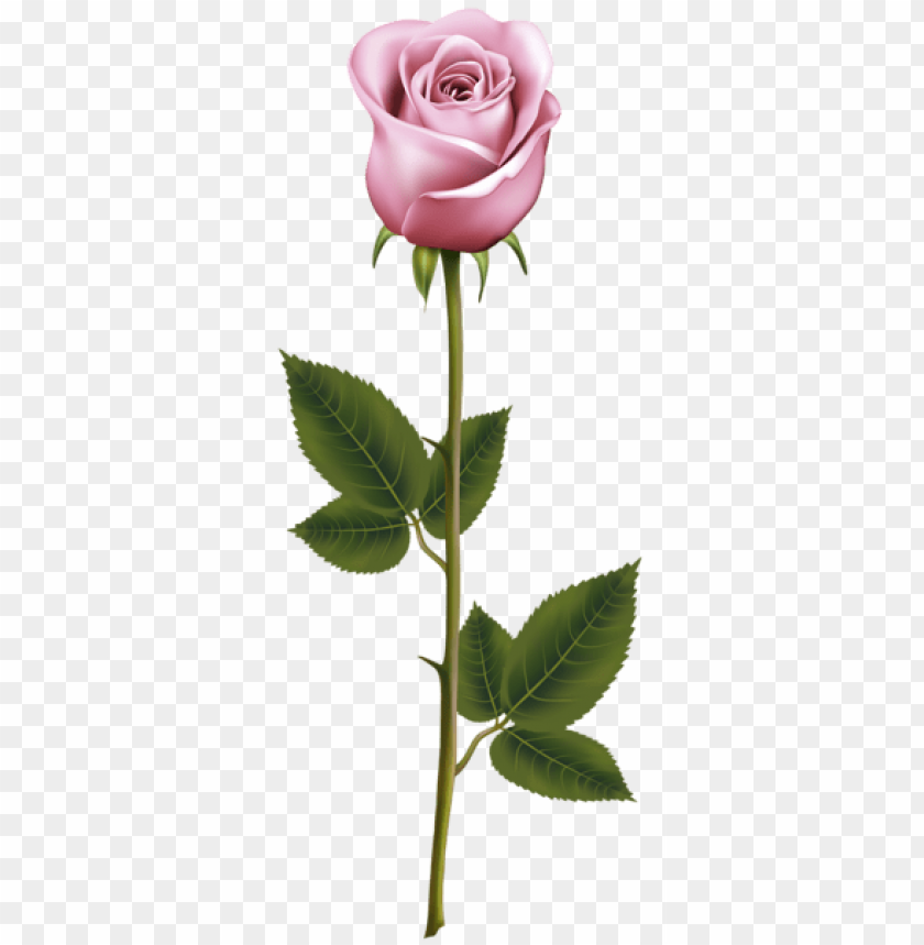 PNG image of pink rose with stem with a clear background - Image ID 43234