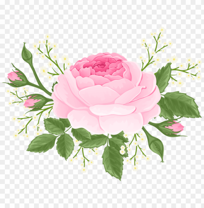 pink rose with white flowers