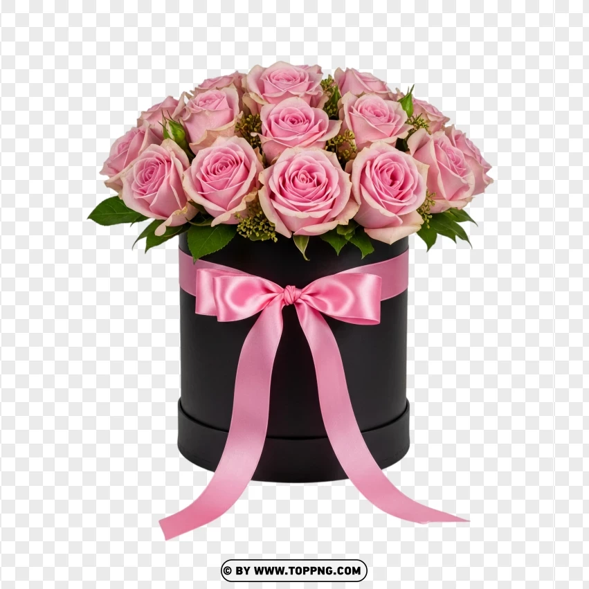 Pink Roses In Black Round Box With Satin Bow PNG Transparent Background