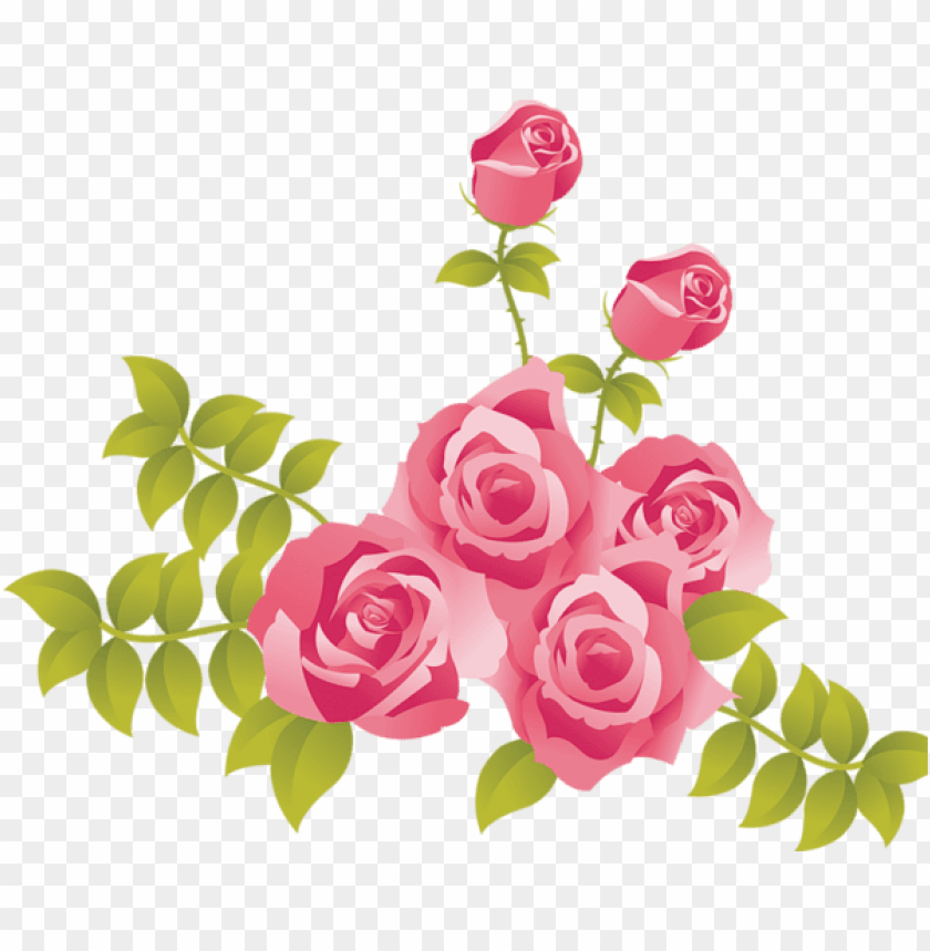 pink roses painted picture