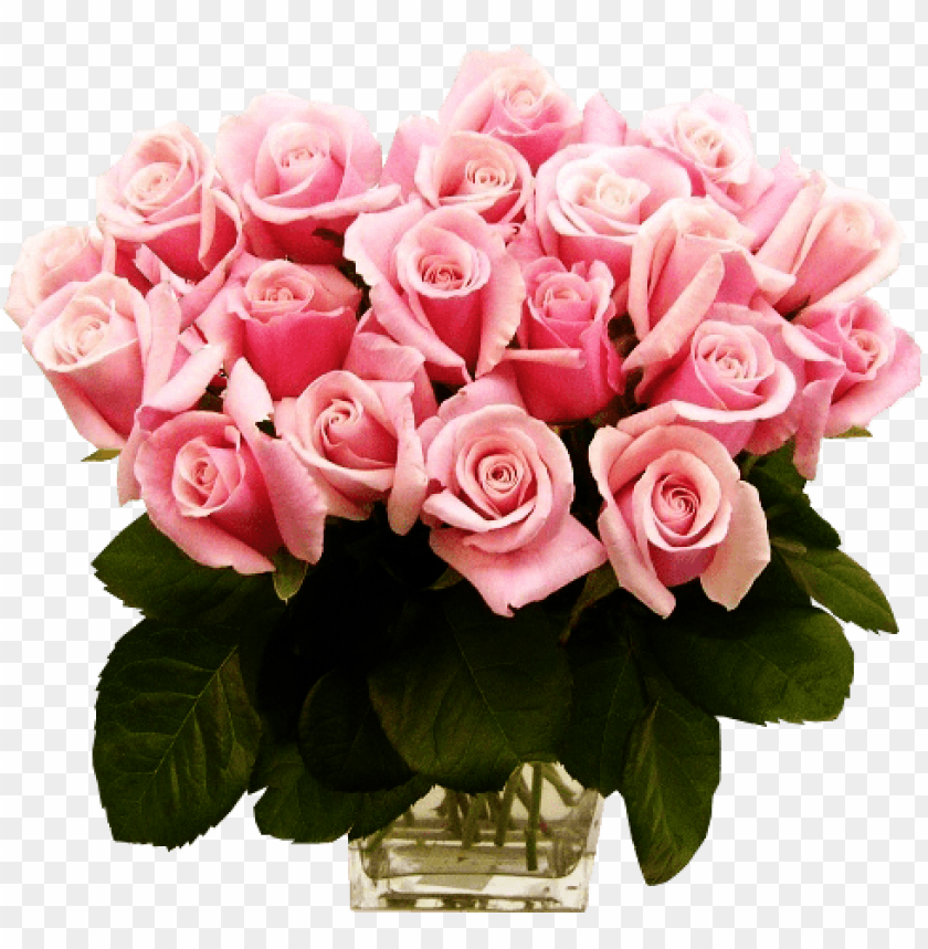 pink roses transparent vase bouquet