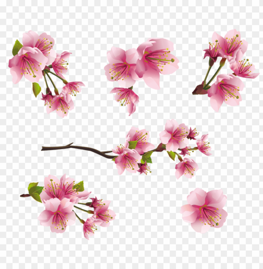 PNG image of pink spring branch elementspicture with a clear background - Image ID 47201