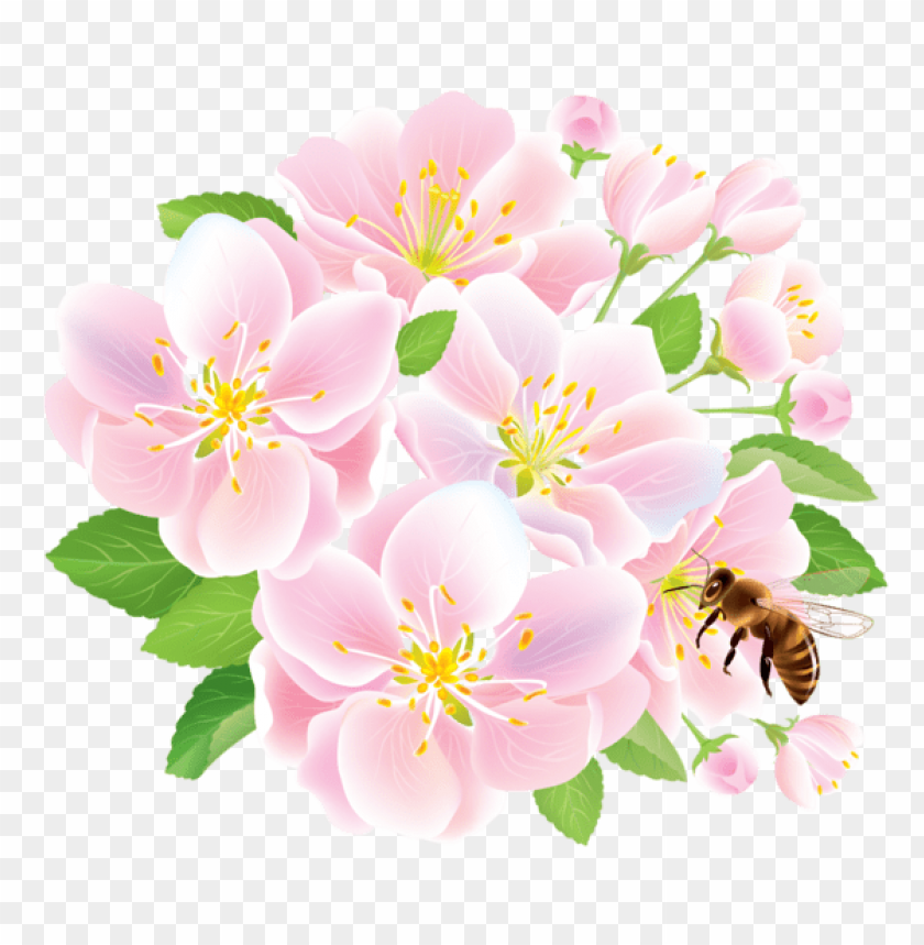 PNG image of pink spring flowers with bee with a clear background - Image ID 47177