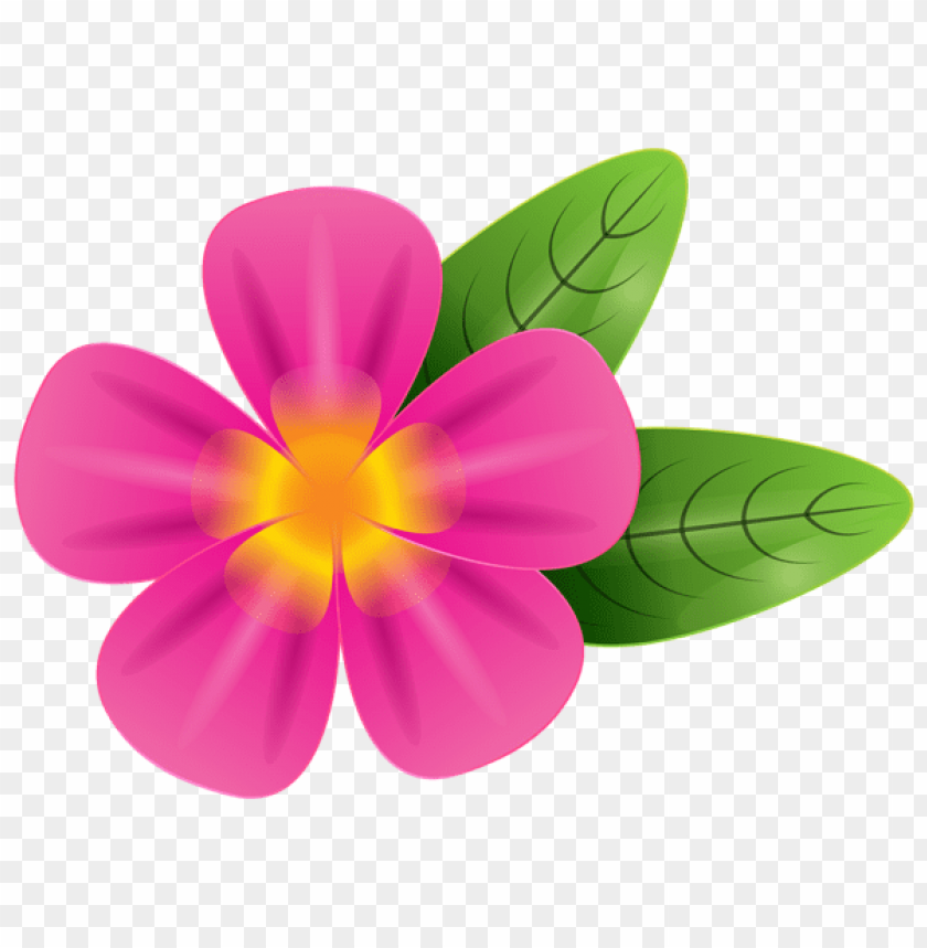 pink tropic flower