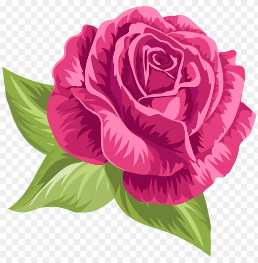 pink vintage rose png