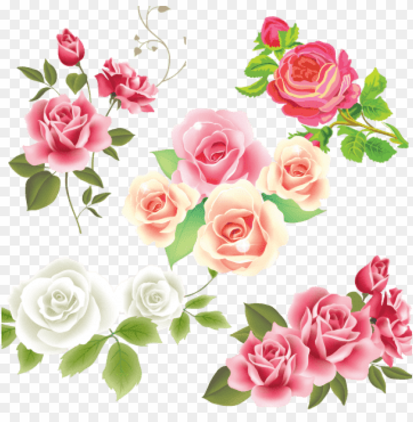 Pink White Rose Flower Vector Pink Rose Flower Vector Mothers Day 2018 Greetings PNG Image With Transparent Background@toppng.com