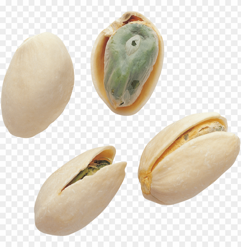 
pistachios
, 
central asia
, 
genus pistacia
, 
soft shell.
