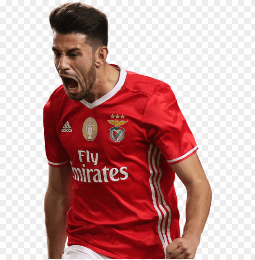 Download pizzi png images background@toppng.com
