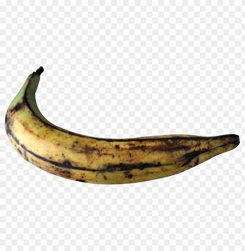 fruits, banana, plantain, cooking plantain